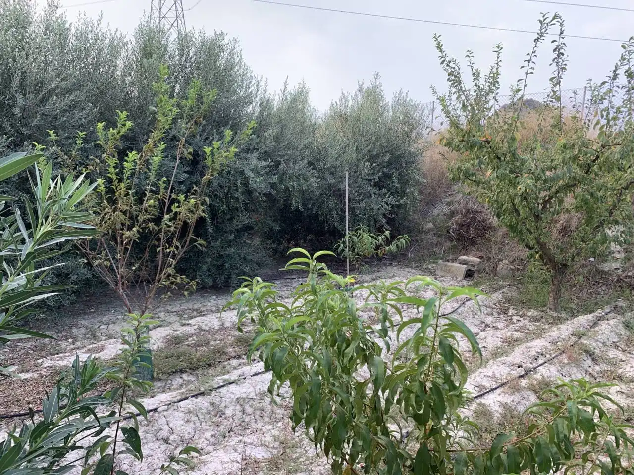 Xalet en venda a Calle LOS FRANCISQUETES, imagen 37