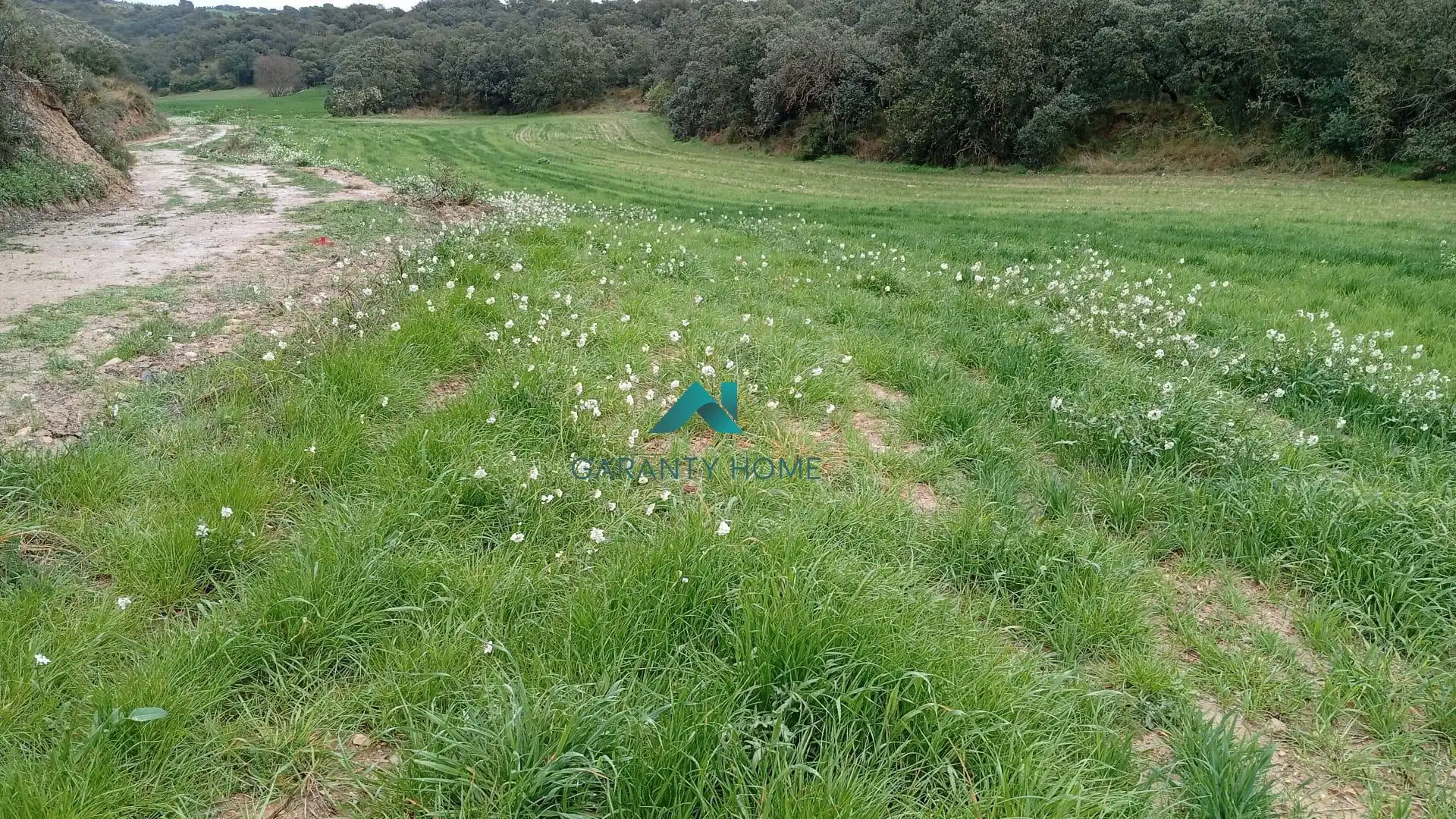 Terreno residencial en venta en Castelló de Farfanya, imagen 3