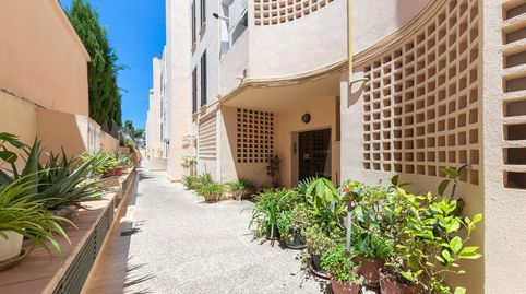 Photo 2 of Flat for sale in Carrer Mossen Antoni Matheu, Son Serra - Sa Vileta, Palma de Mallorca