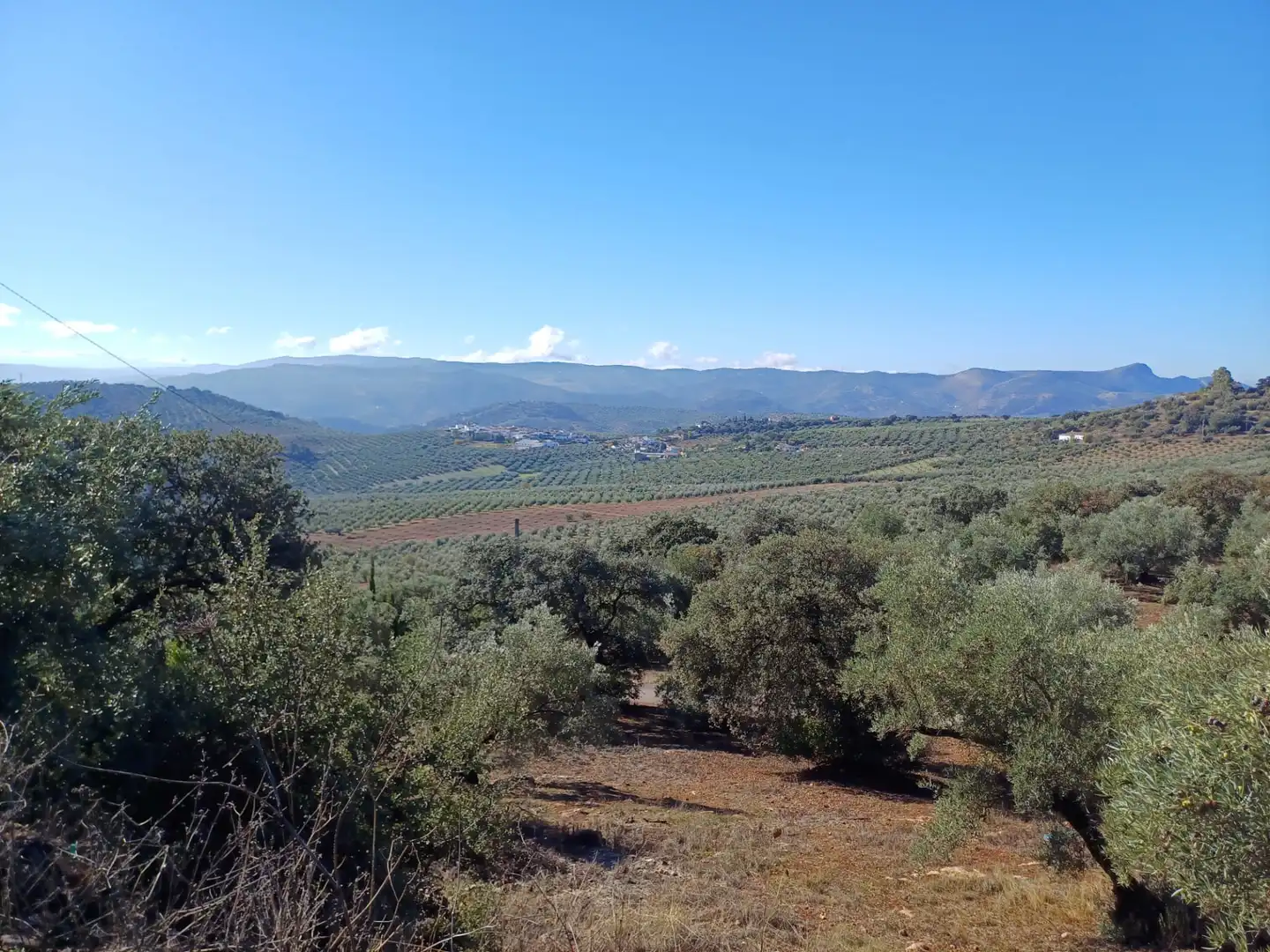 Country house for sale in Diseminado Diseminados, imagen 6