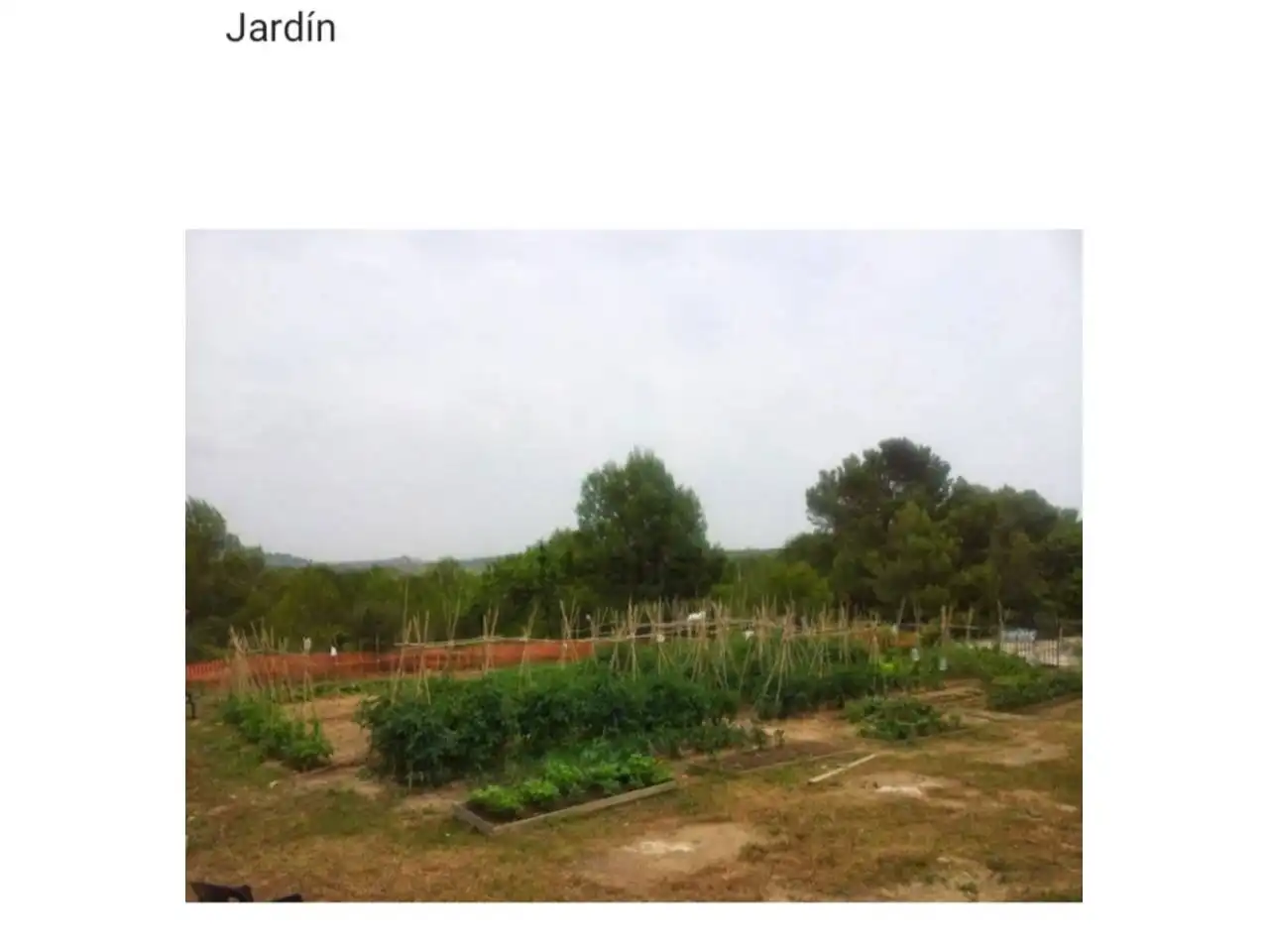 Casa rústica amb jardí en venda a Mas Borràs - Coto del Rey, imagen 23