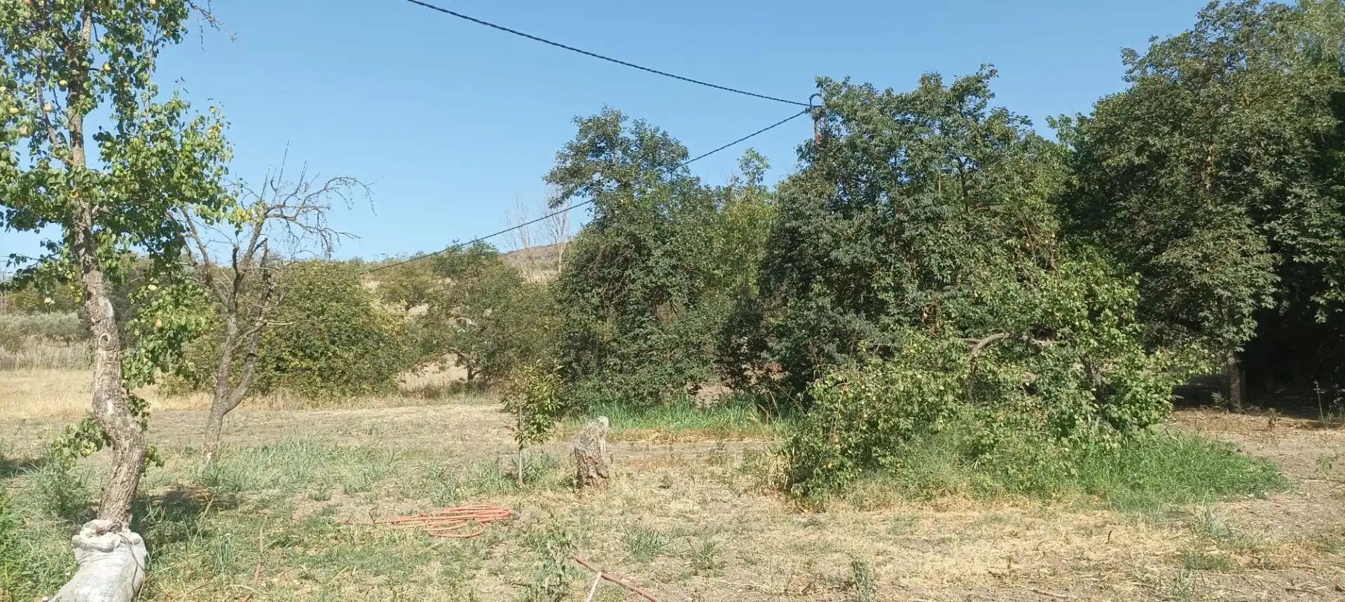 Casa rústica amb piscina en venda a Partidas Norte, imagen 19