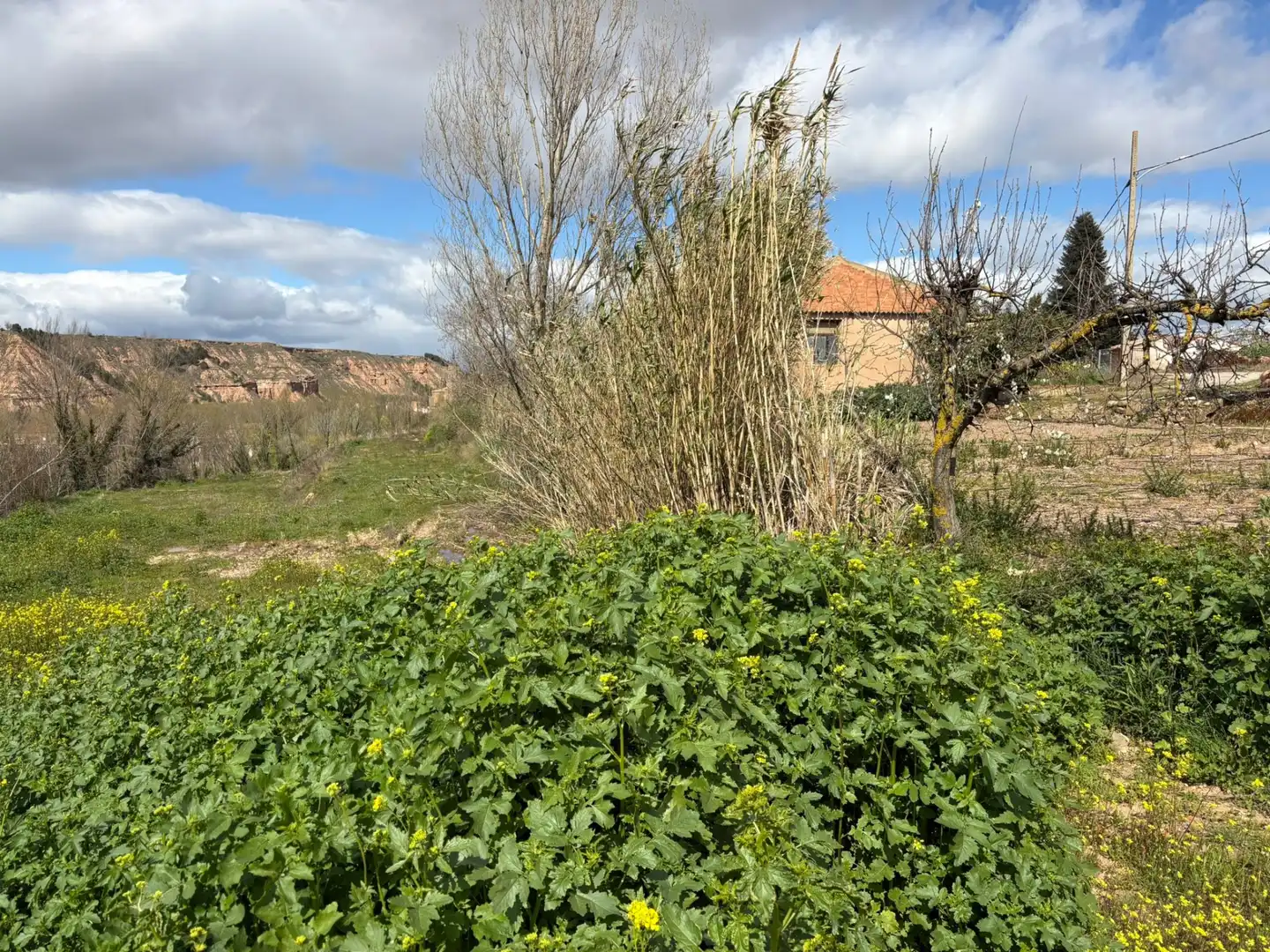 Terreny rústic en venda a Murillo de Río Leza, imagen 3