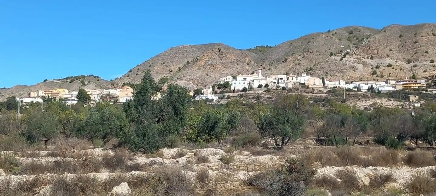 Exterior view of Houses for sale in Somontín  with Terrace