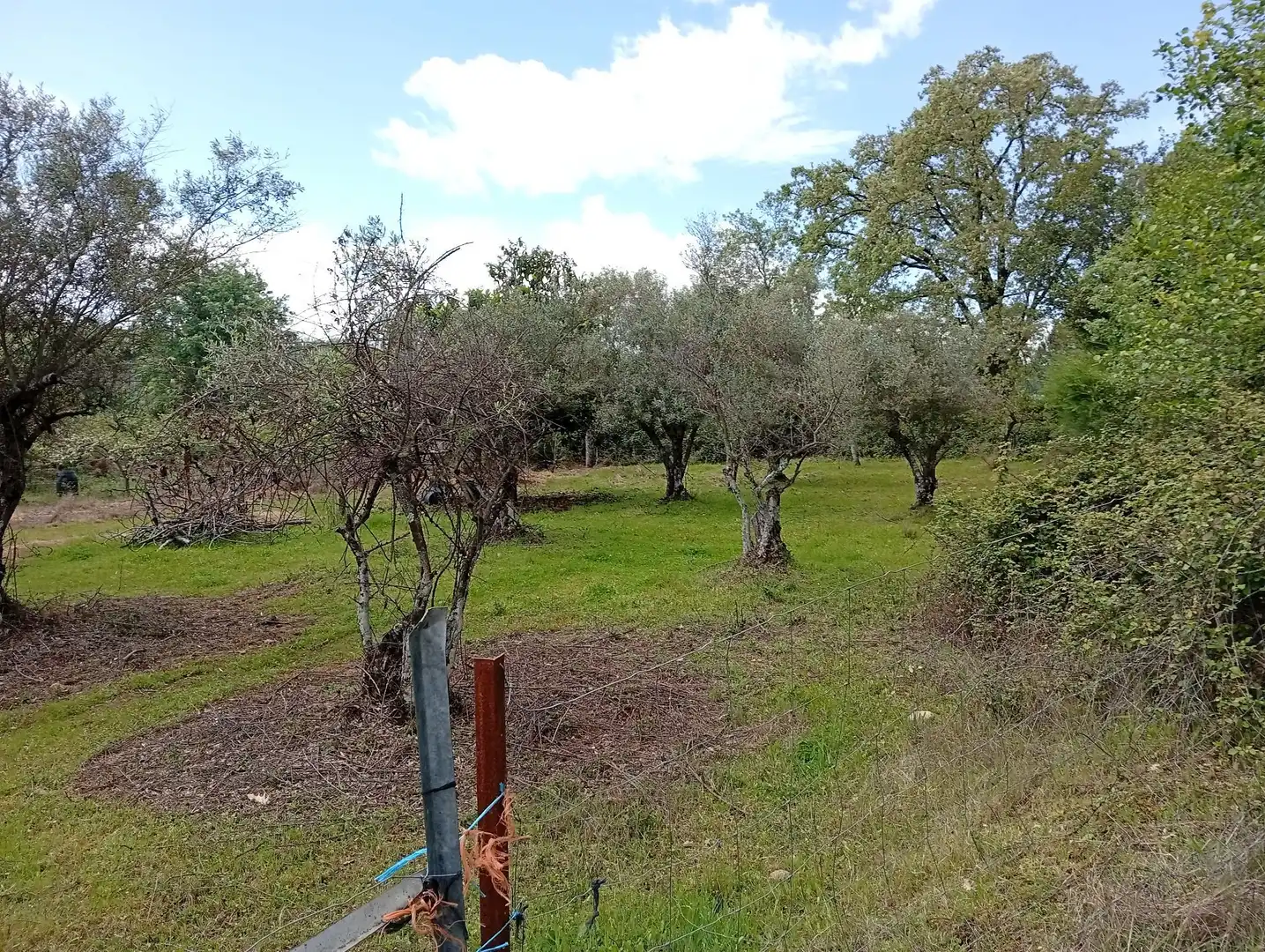 Terreni e lotti in vendita a Villanueva de la Vera, imagen 49