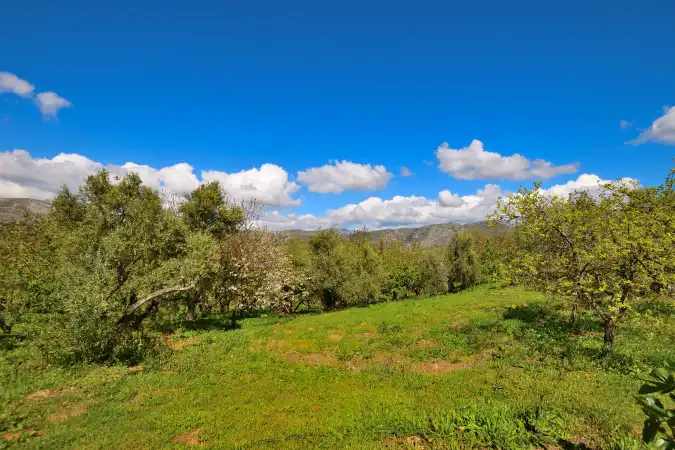Country house zum Verkauf in Ronda mit Privatgarten