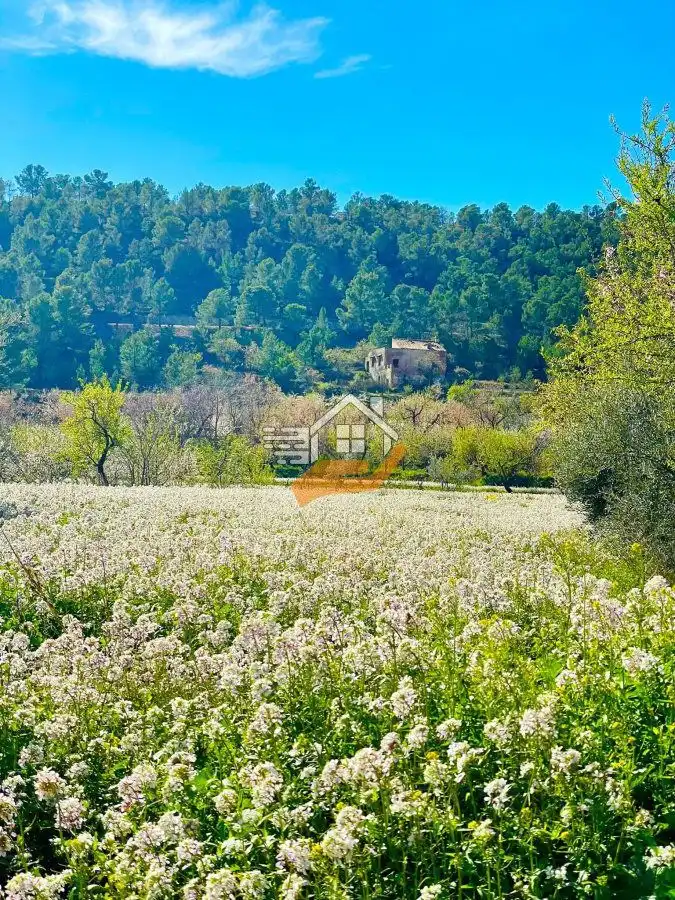 Residencial en venda en Vélez-Blanco
