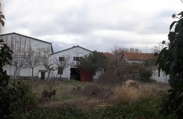 Gebäude zum Verkauf in Peralta / Azkoien