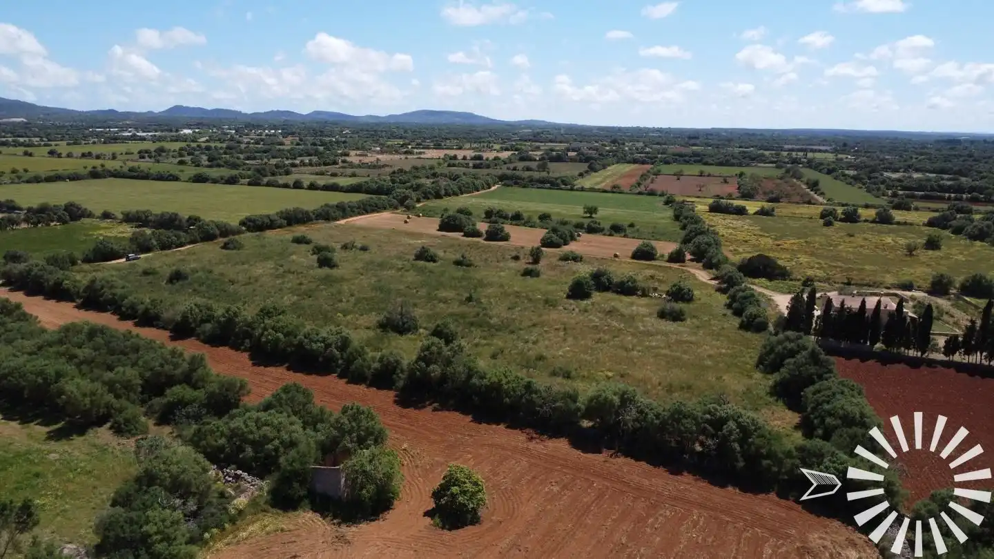 Rural land for sale in Pologino 3 Parcela 107, imagen 23