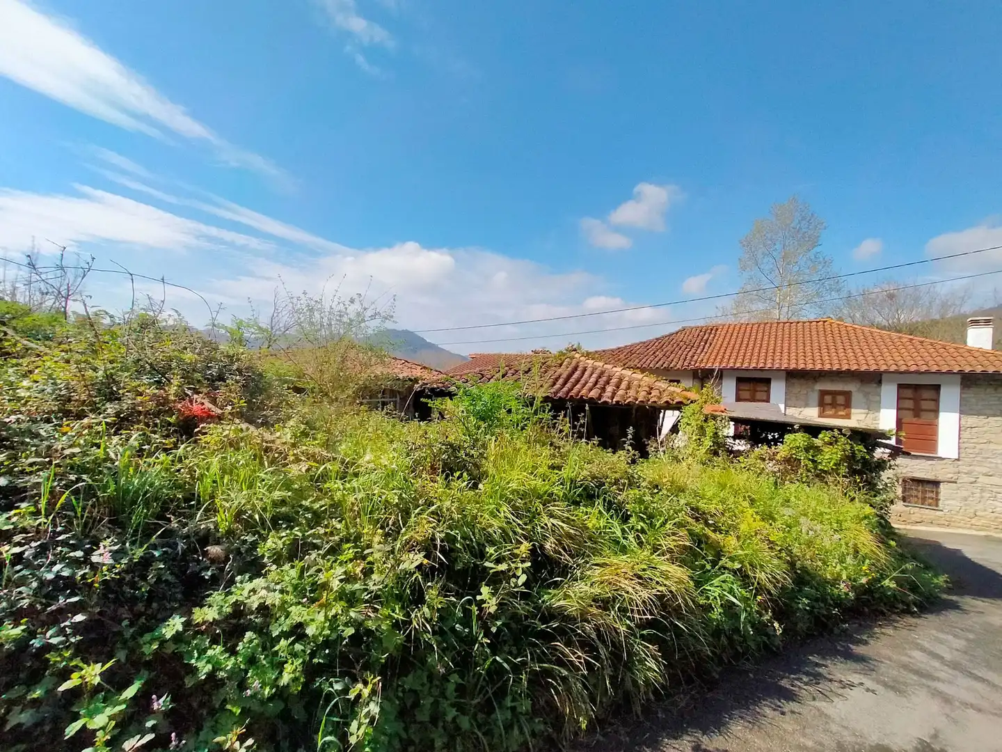 Vista exterior de Terreno en venta en Pravia