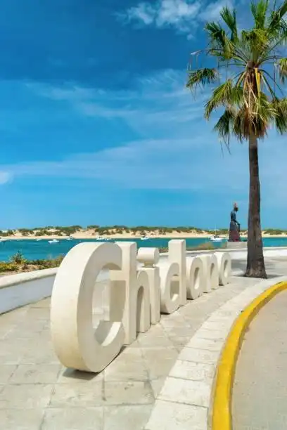 Vista exterior de Casa o xalet en venda en Chiclana de la Frontera amb Jardí privat i Terrassa