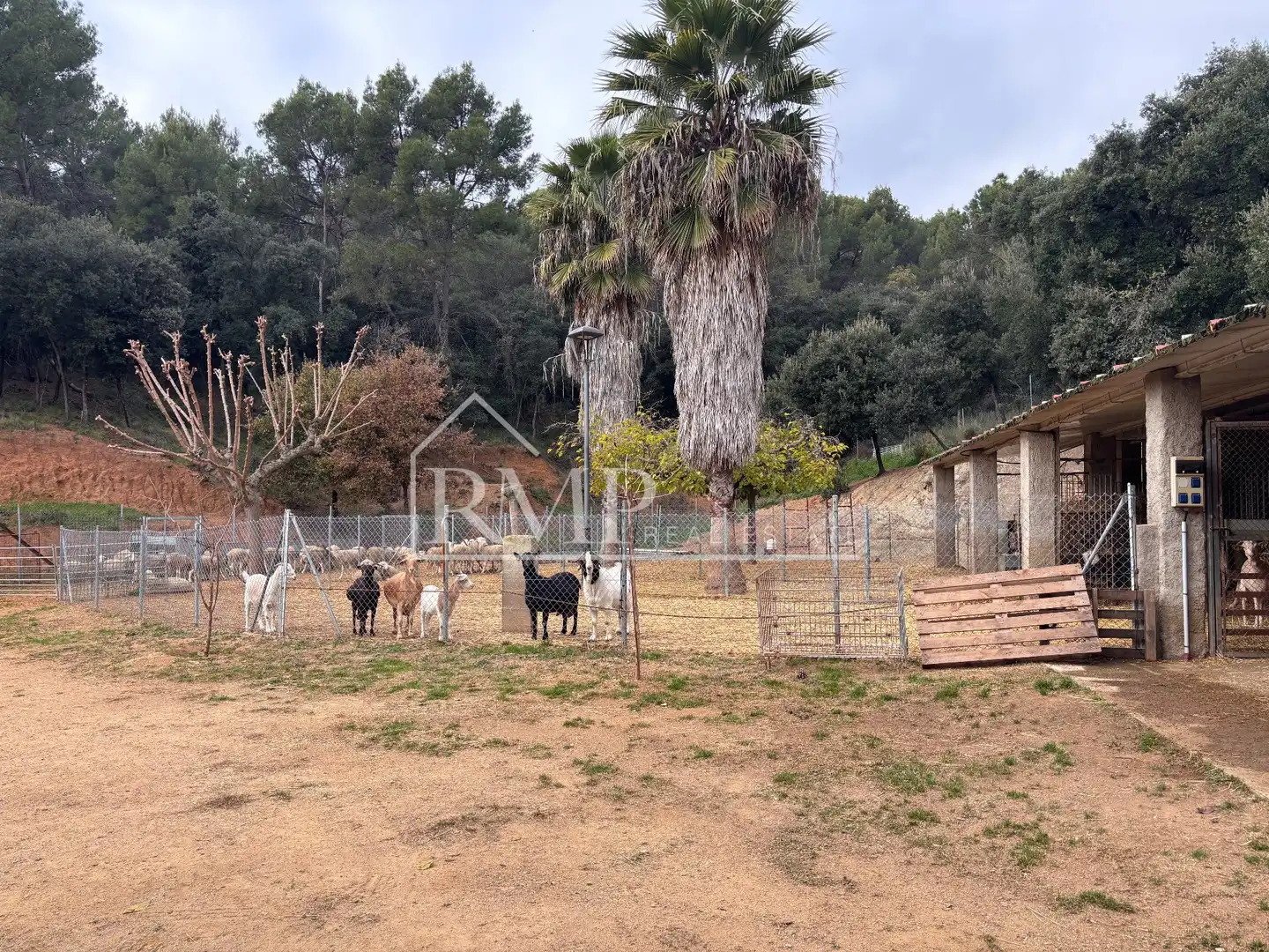 Rural land for sale in verder s/n, imagen 32