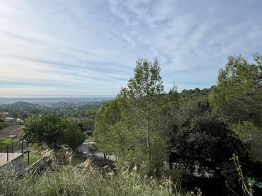 Terreno rustico in vendita a Almoster
