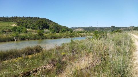 BATEA, FINCA DE 19 HECTÁREAS CON CASA DE CAMPO, REGADÍO Y SITUADA FRENTE AL RÍO ALGARS., immagine 4