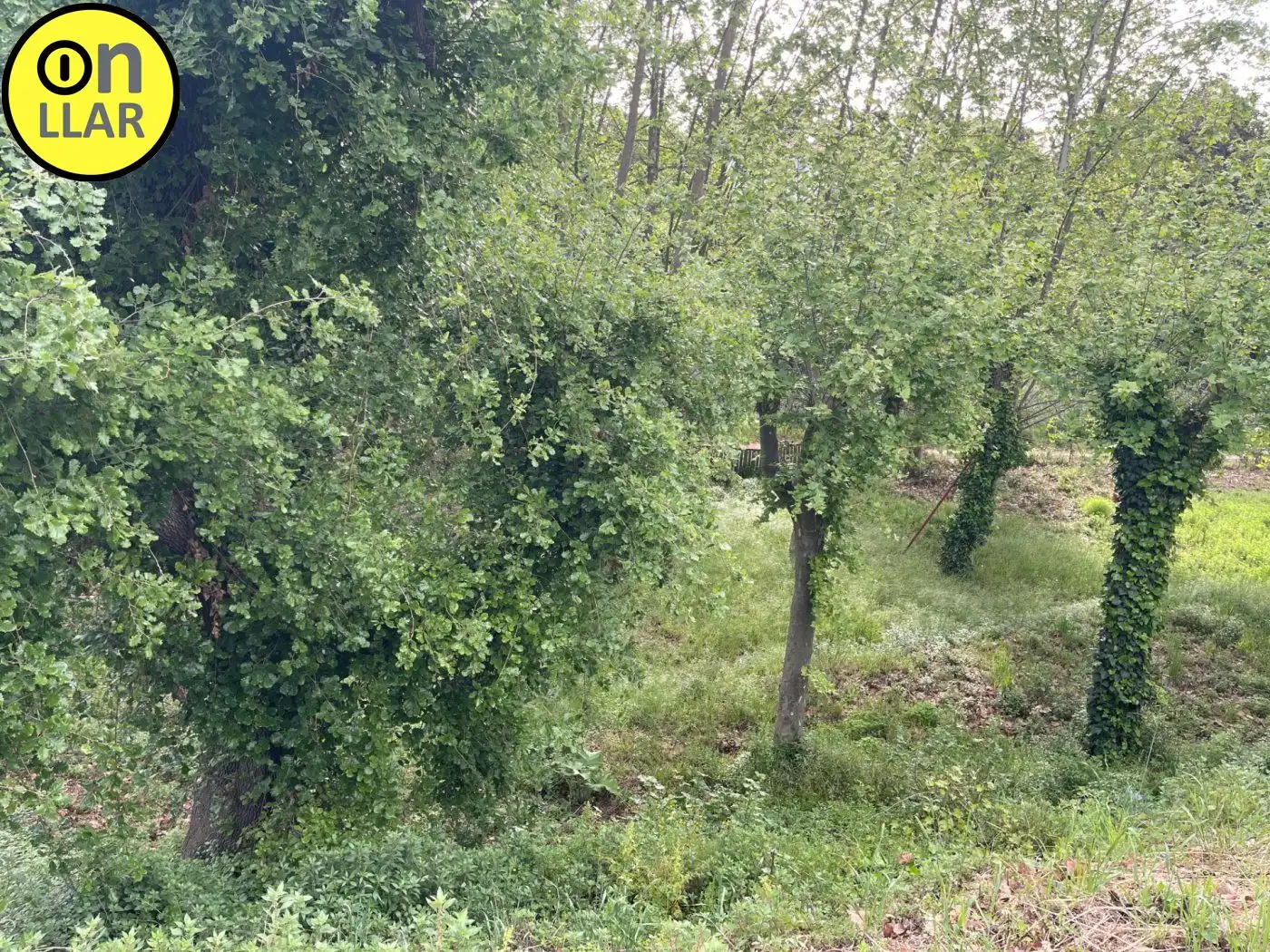 Residential land for sale in Calle Alzina, imagen 25