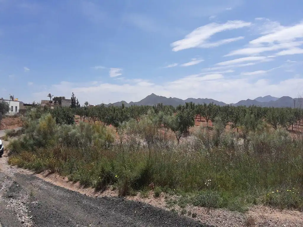 Residencial en venda en Fuente Álamo de Murcia