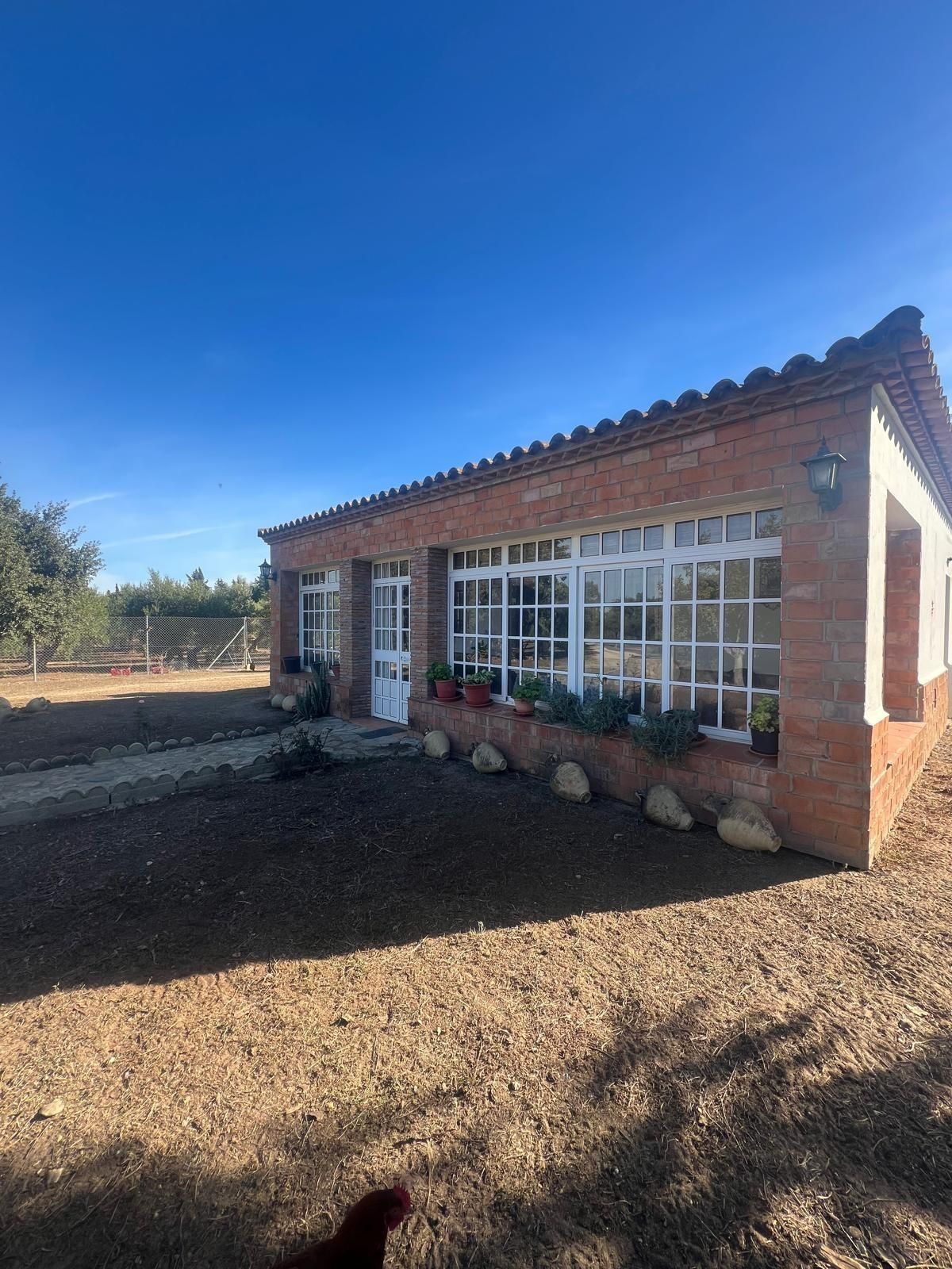 Vista exterior de Finca rústica en venda en Medina Sidonia