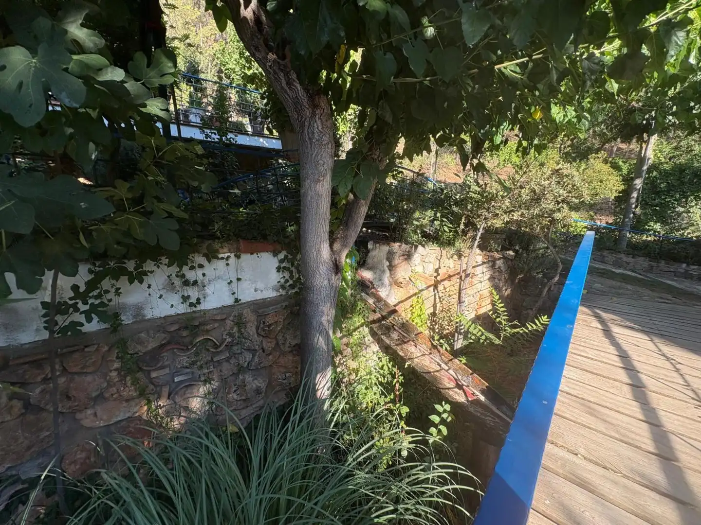 Jardín de Finca rústica en venta en Benatae con Calefacción, Jardín privado y Piscina