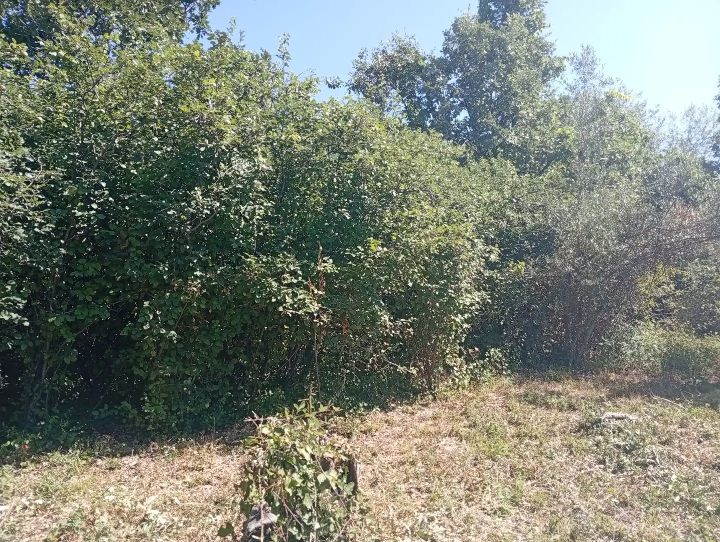 Terreni e lotti in vendita a Villanueva de la Vera, imagen 24