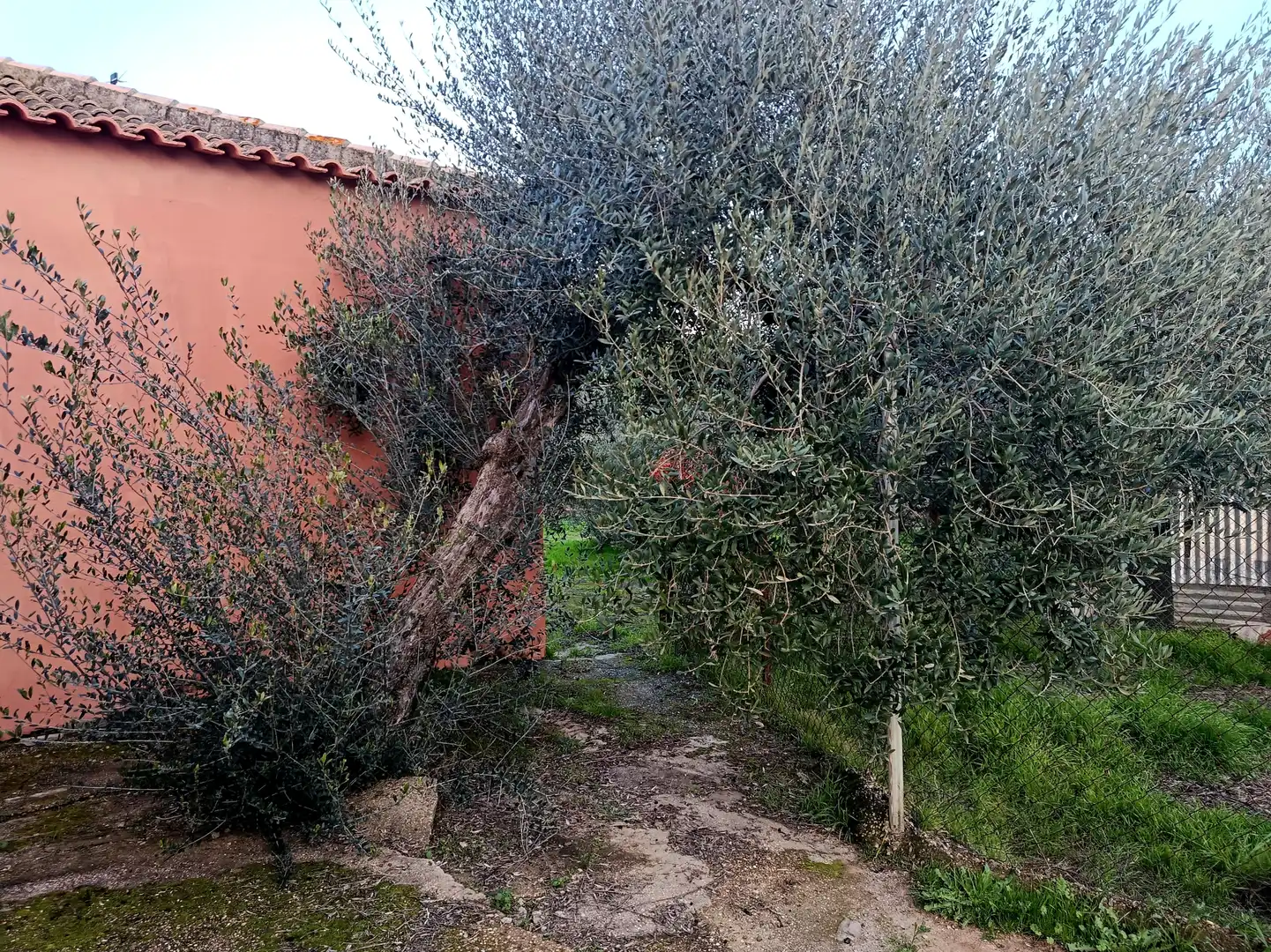 Garten von Country house zum Verkauf in Hinojos mit Privatgarten, Terrasse und Schwimmbad