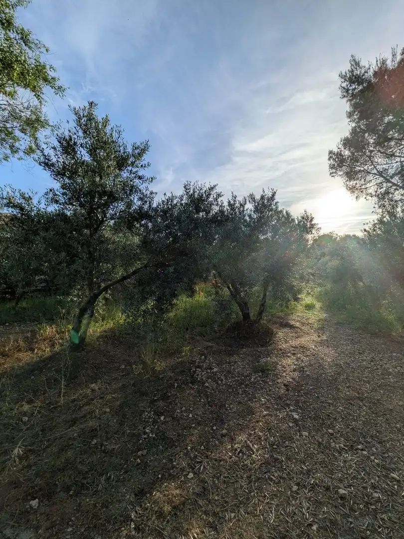 Finca rústica en venta en Miguelturra con Aire acondicionado, Calefacción y Jardín privado