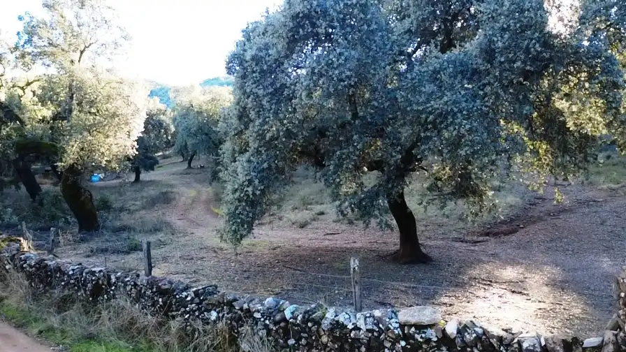 Terrenos y solares en venta en Dehesa 8, imagen 9