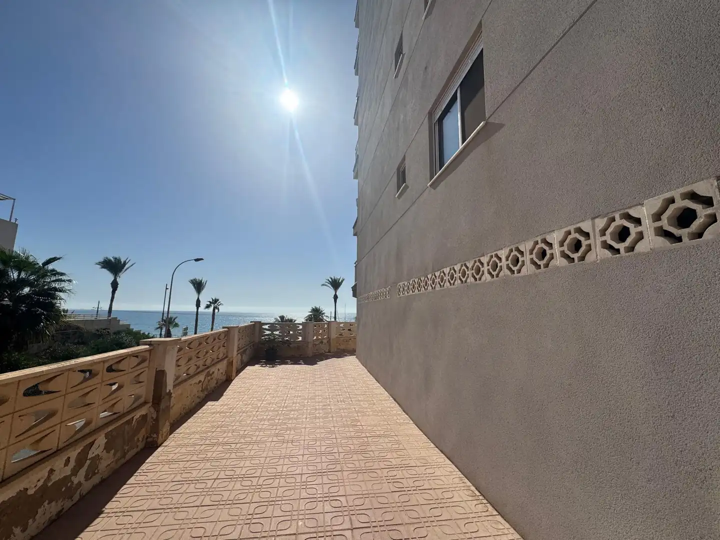 Terrace of Apartments for rent in El Campello  with Terrace, Furnished and Oven