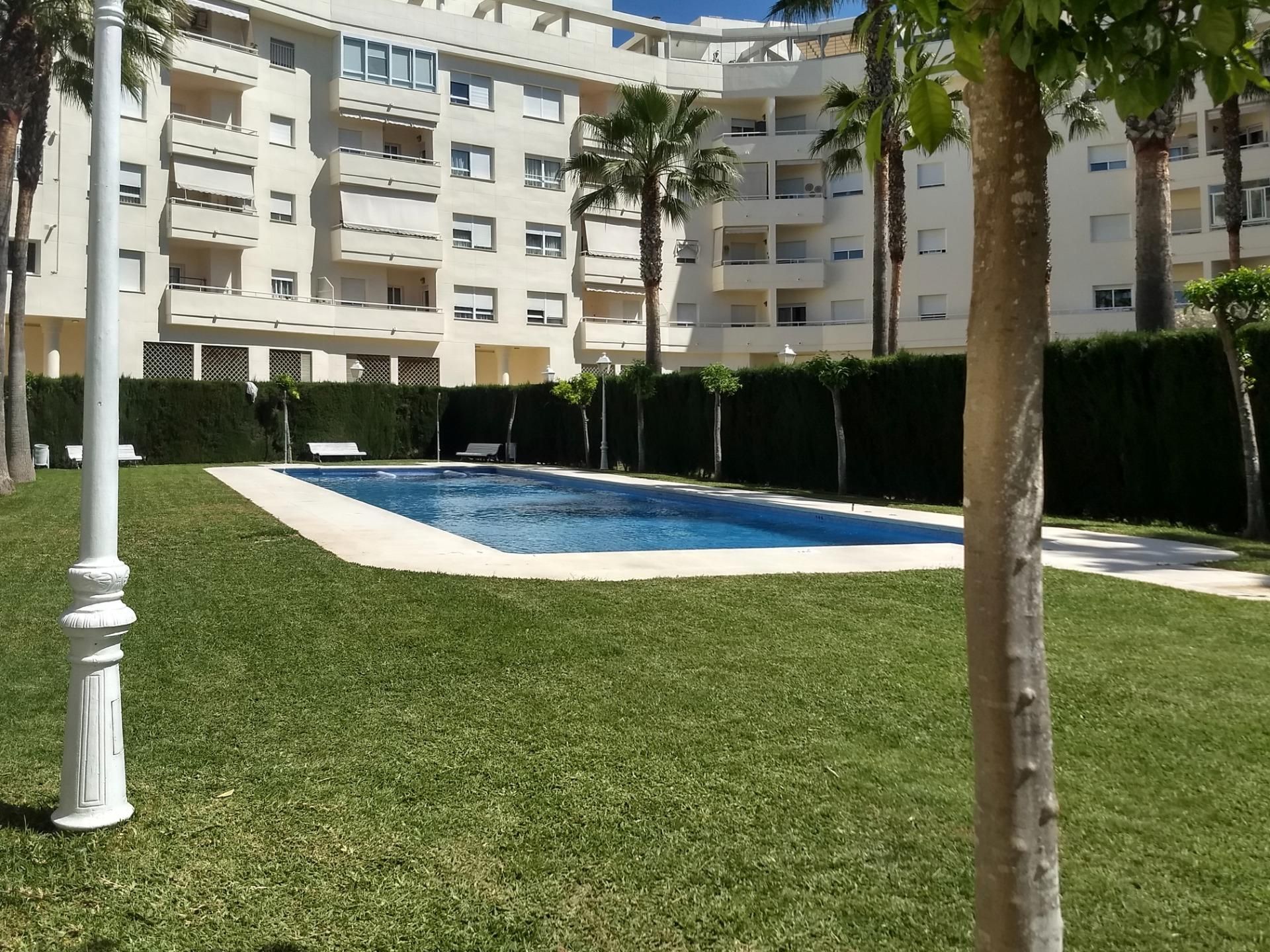 Swimming pool of Flat to rent in Jerez de la Frontera