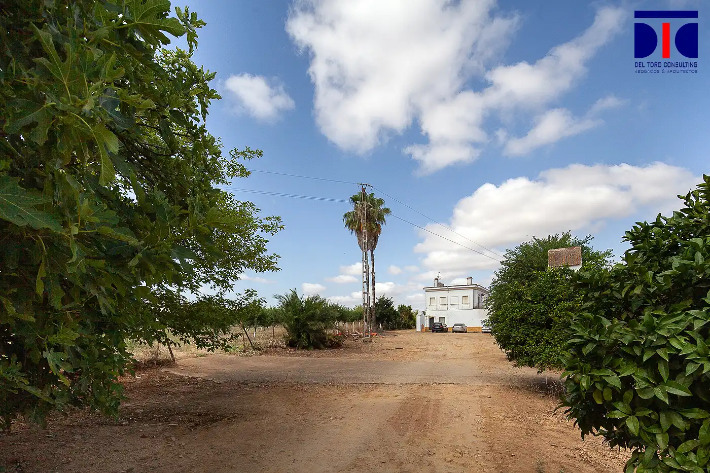 Vista exterior de Finca rústica en venta en Carmona con Jardín privado, Terraza y Piscina