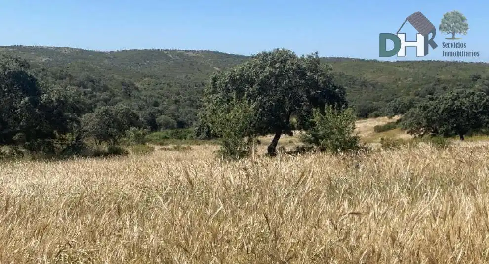 Terreni e lotti in vendita a El Carmen - Cardeñas, imagen 2