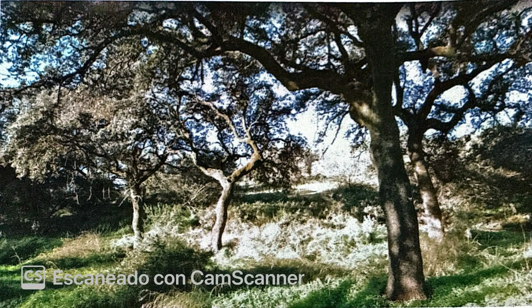Terreno residencial en venta en Norte-Sierra, imagen 2