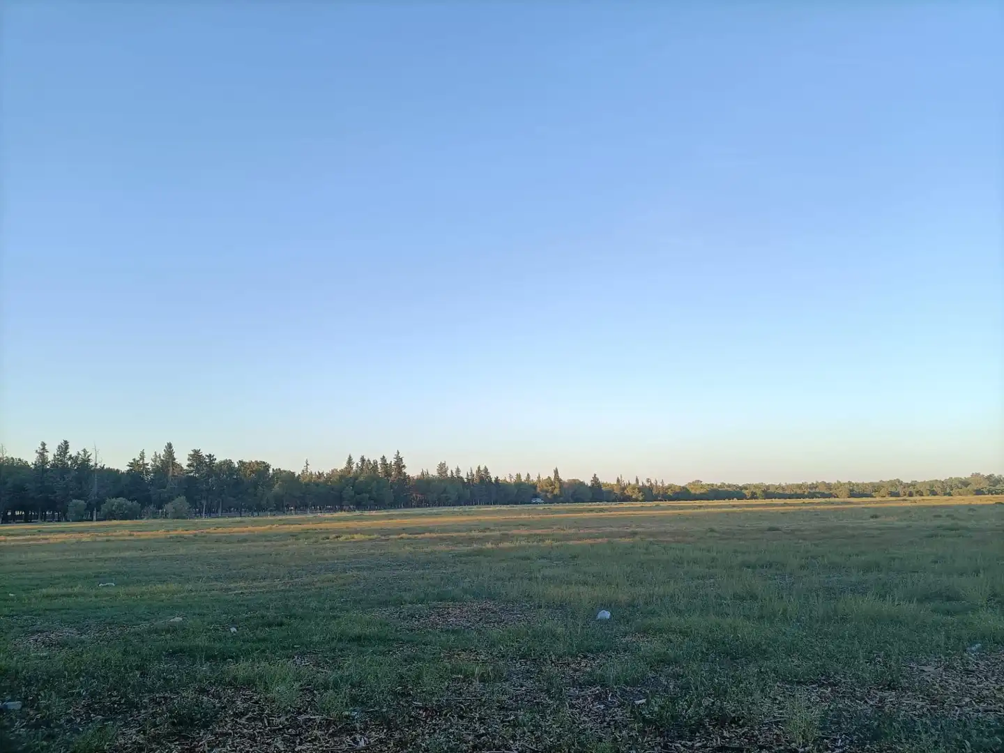 Terreno residenziale in vendita a Este - Alcosa- Torreblanca, imagen 7