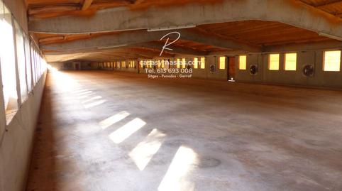 Photo 5 of Industrial buildings for sale in Vilobí del Penedès, Barcelona