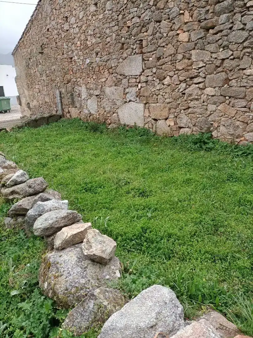 Planta baixa en venda en Peromingo amb Jardí privat