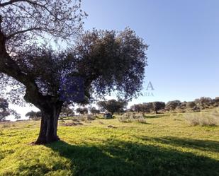 Country house zum verkauf in Trujillo