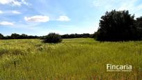 Residential for sale in Felanitx