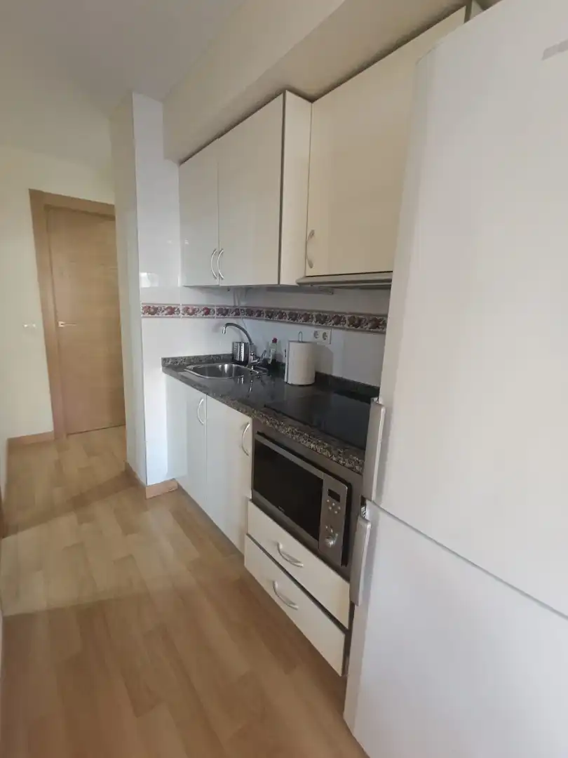Cocina de Apartamento de alquiler en Málaga con Aire acondicionado y Amueblado