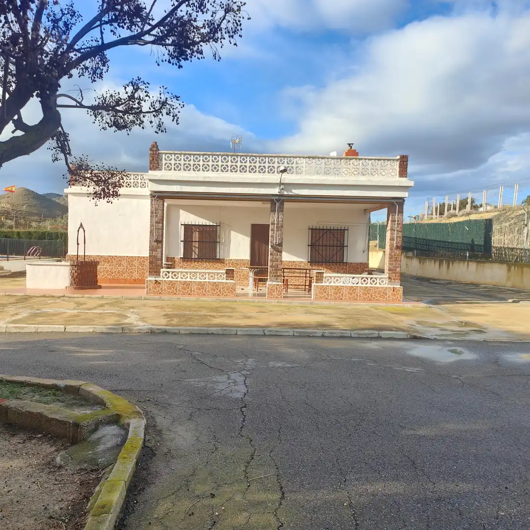 Exterior view of Houses for sale in Aspe  with Private garden, Terrace and Swimming Pool