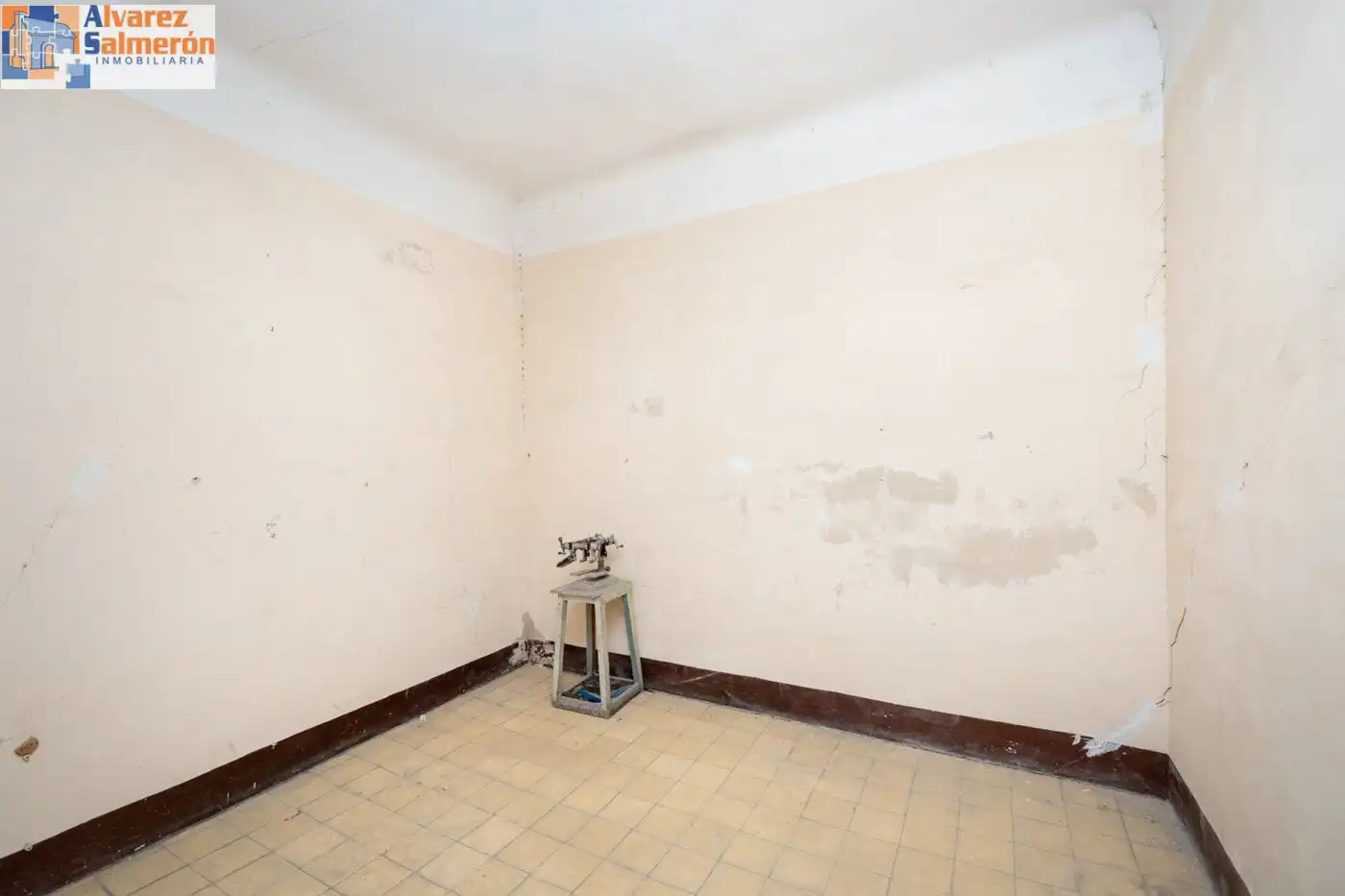 Inmuebles singulares en venta en Centro, imagen 37