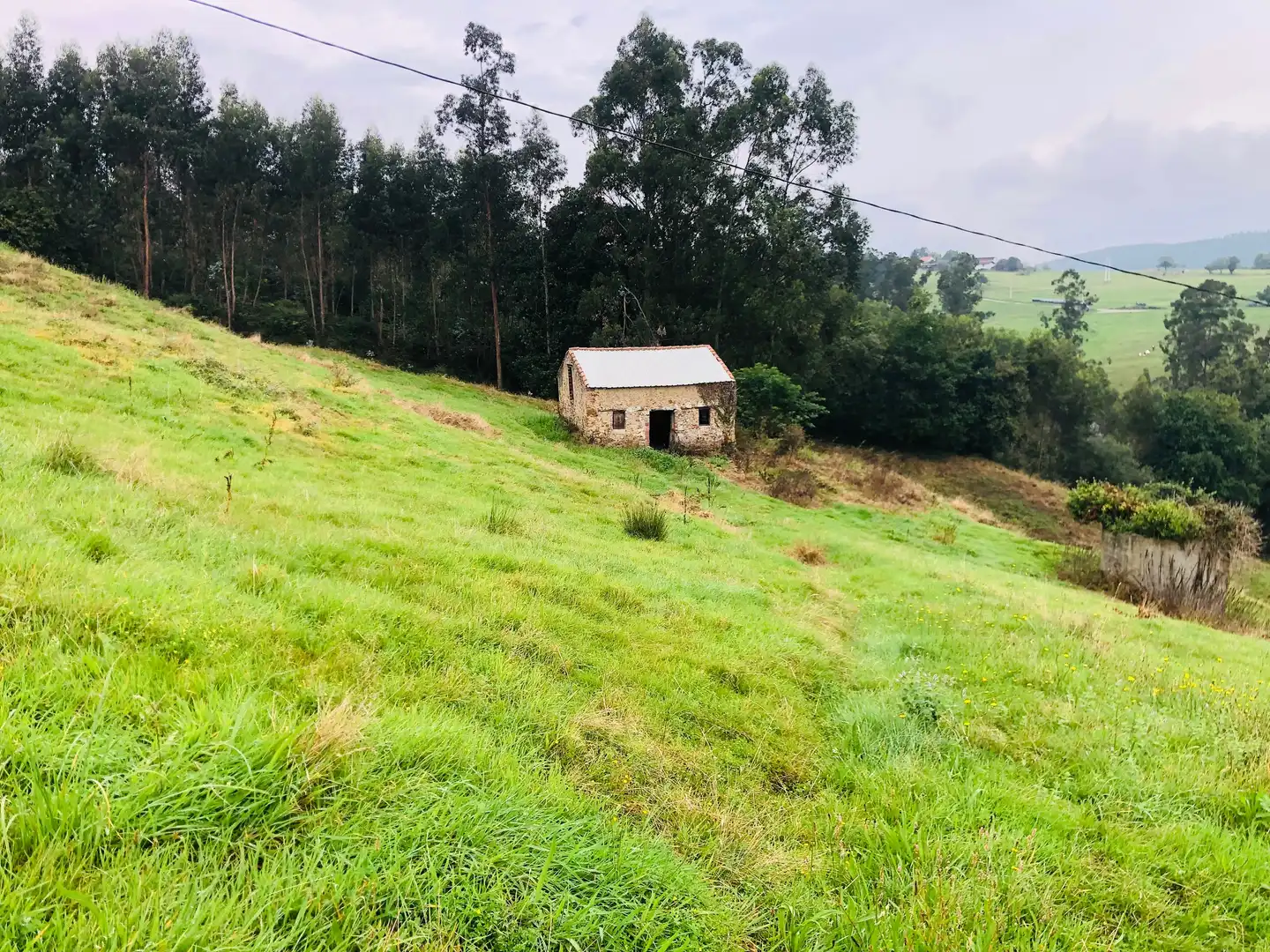 Casa o chalet en venta en Piélagos