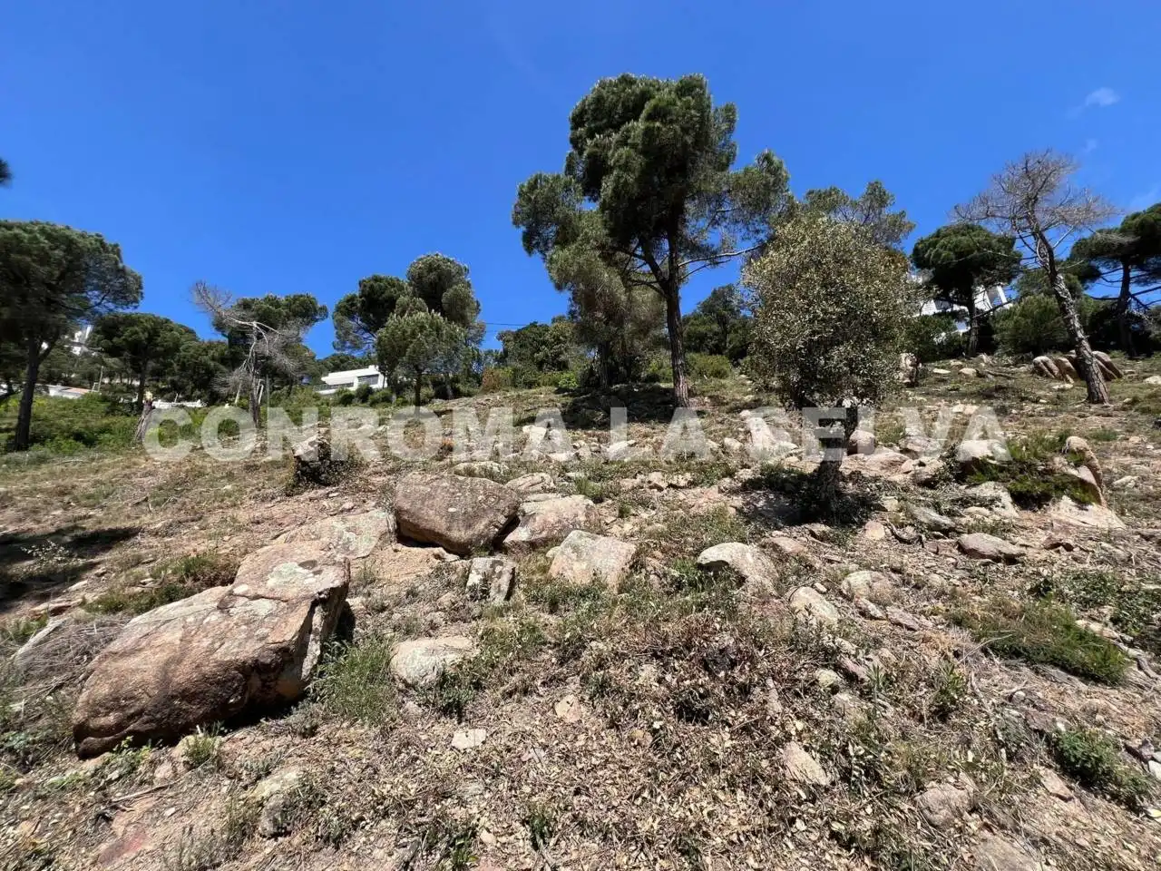 Terreno residencial en venta en Serra Brava, imagen 14