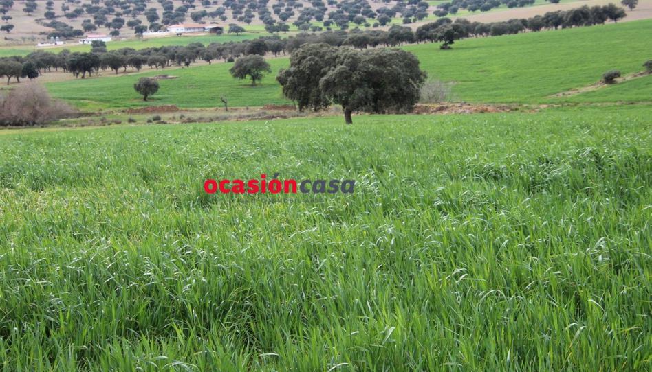 Foto 1 de Finca rústica en venda a Peñarroya-Pueblonuevo, Córdoba