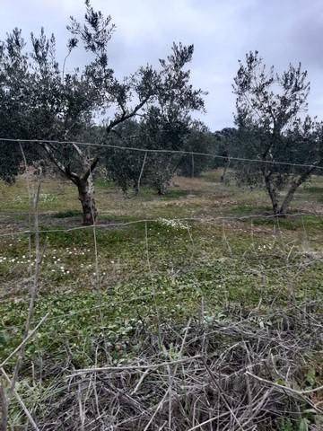 Terreno residencial en Venta en Los Blázquez