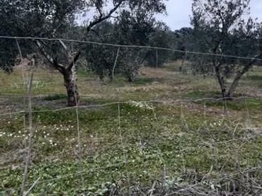 Terrain résidentiel à vendre à Los Blázquez