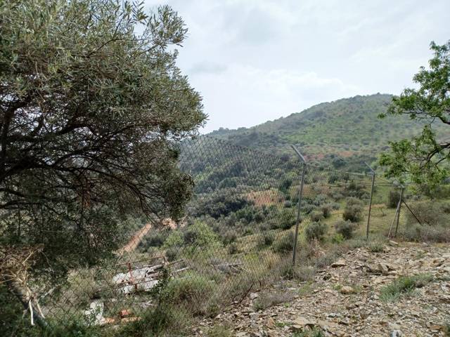Terreno en Alquiler en Carretera de Olías en Olías