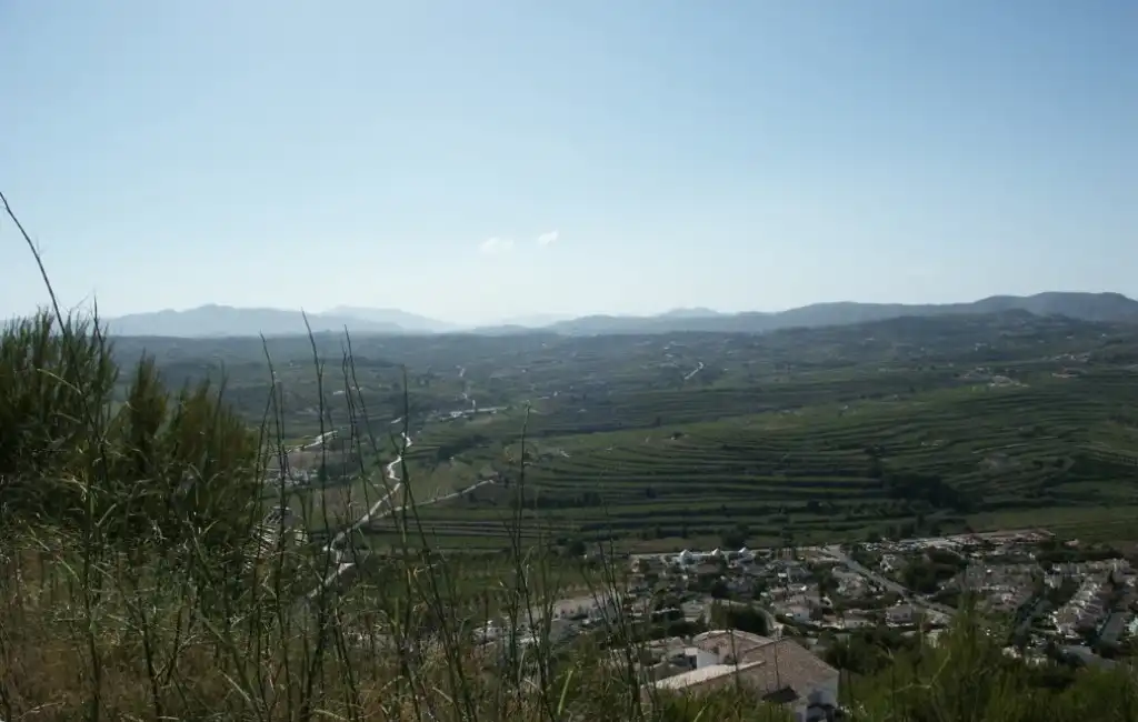 Terreny residencial en venda a Centro, imagen 3