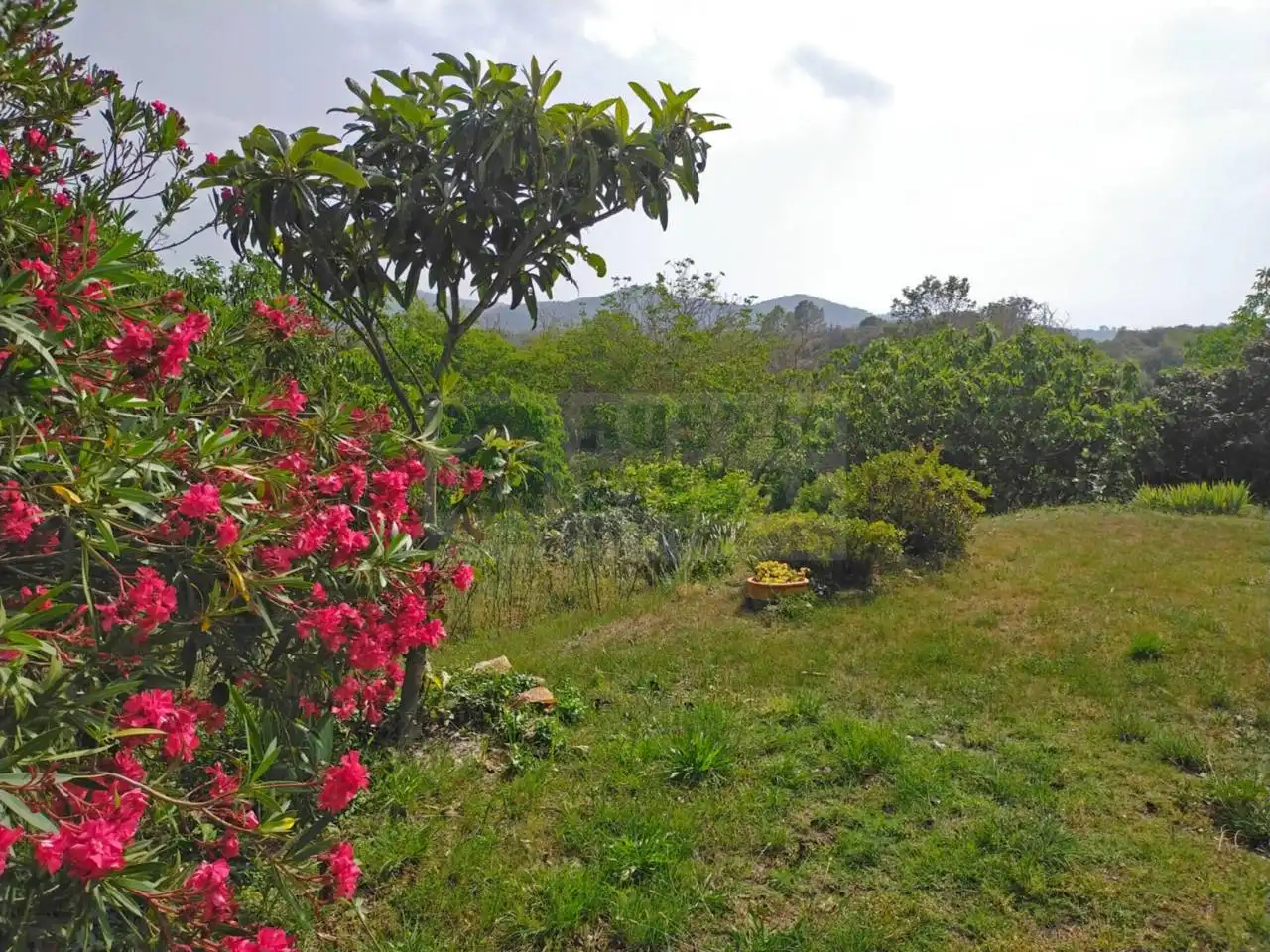 Finca rústica en venta en Quart con Jardín privado