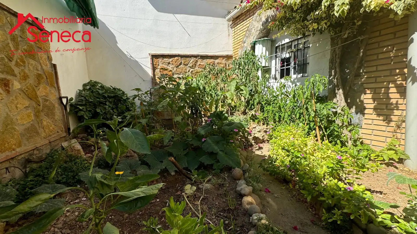 Casa amb terrassa en venda a Blas Infante, imagen 29