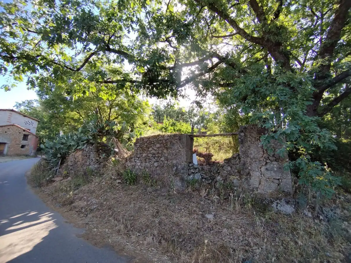 Terreni e lotti in vendita a Jarandilla de la Vera, imagen 2