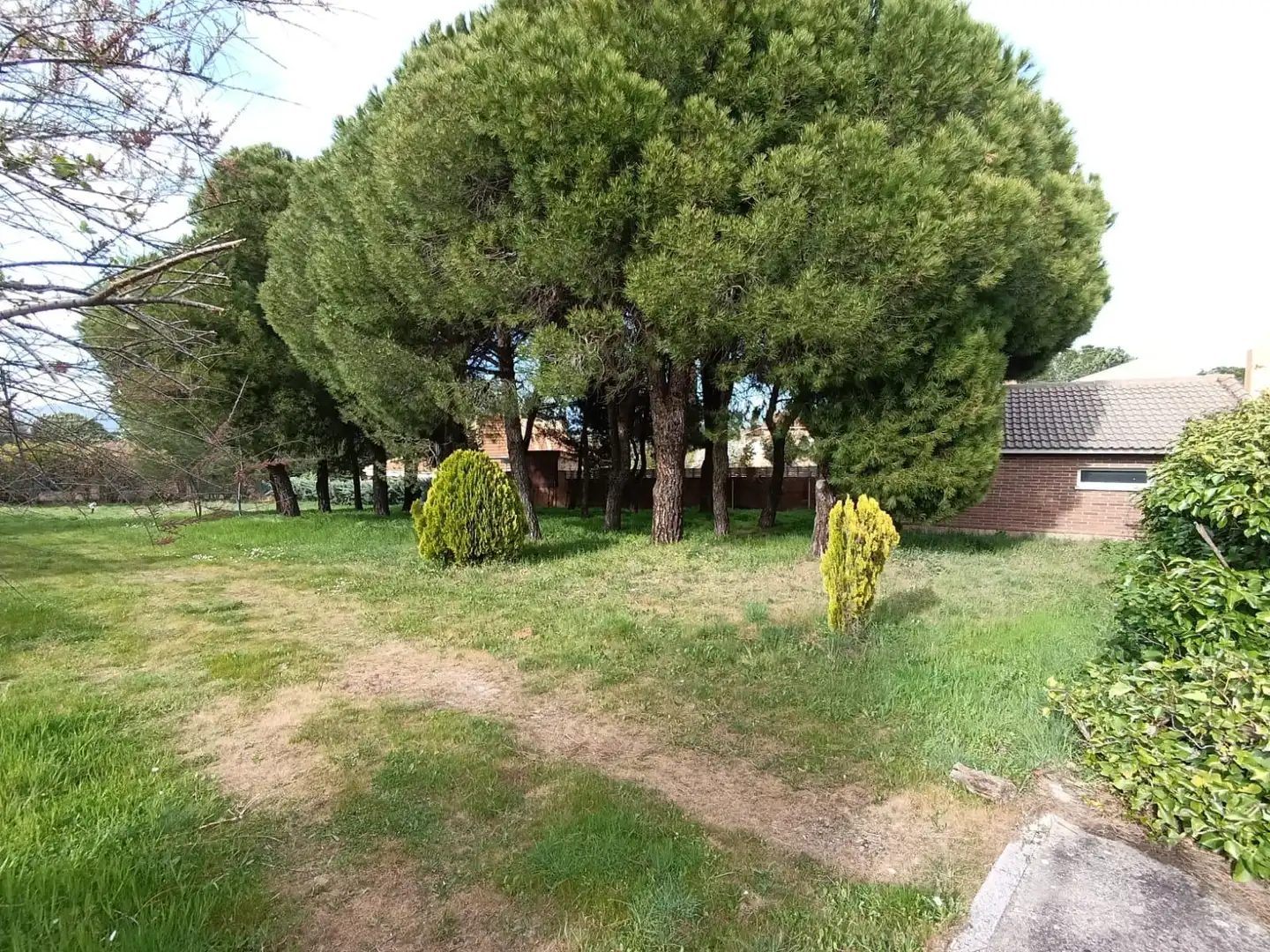 Casa o chalet en venta en Pedrezuela con Calefacción, Jardín privado y Terraza
